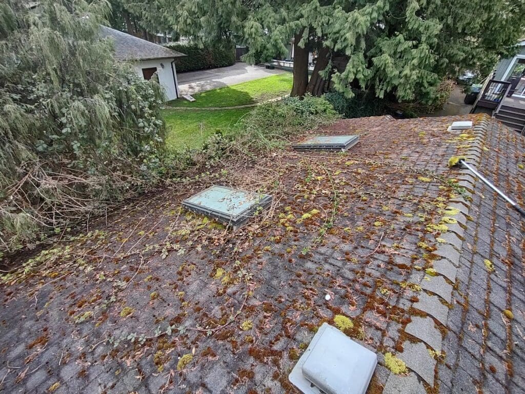 How to clean a roof